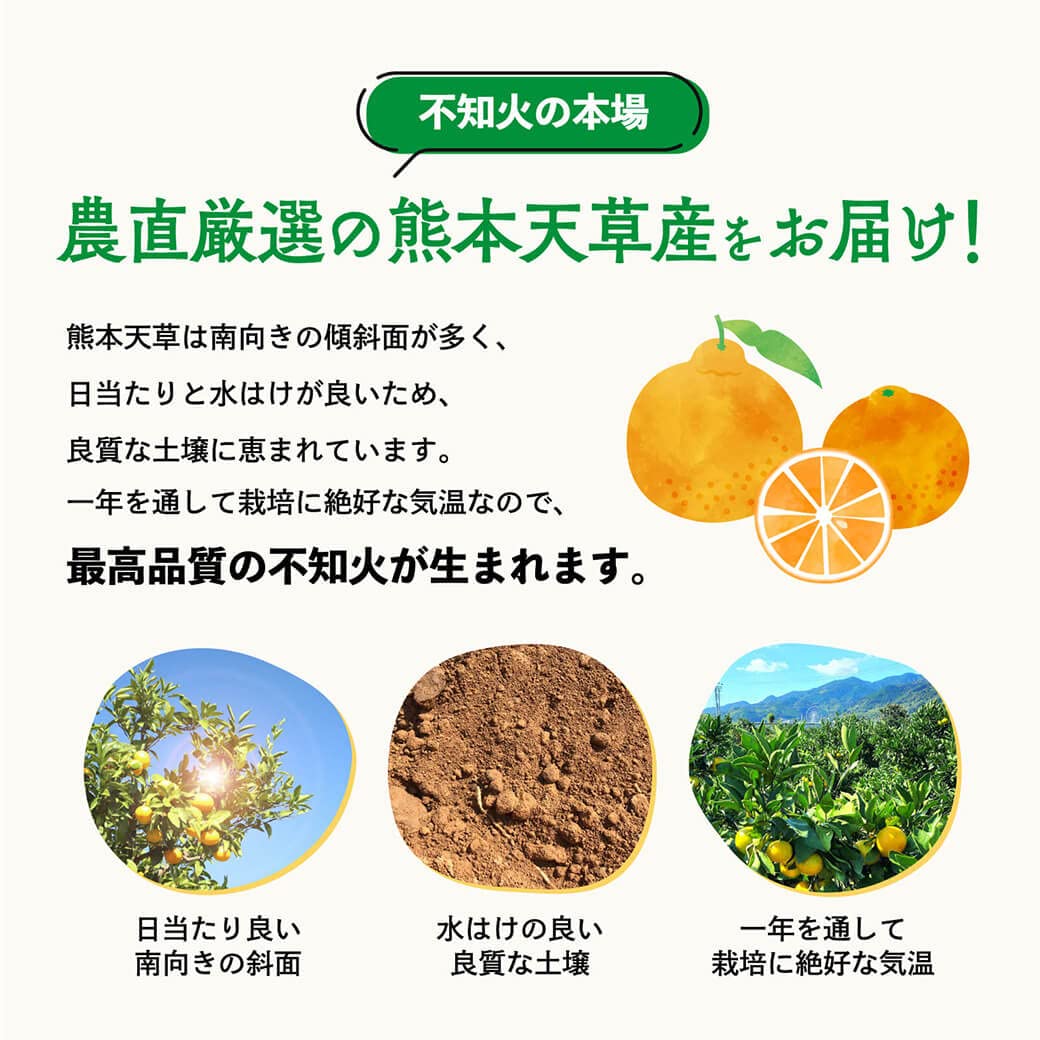 天草産しらぬい　家庭用　箱込20kg Amazon.co.jp: 熊本天草産 不知火（しらぬい）3キロ（10玉～13玉